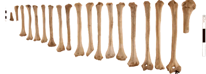 Excavations in the Hagios Charalambos Cave