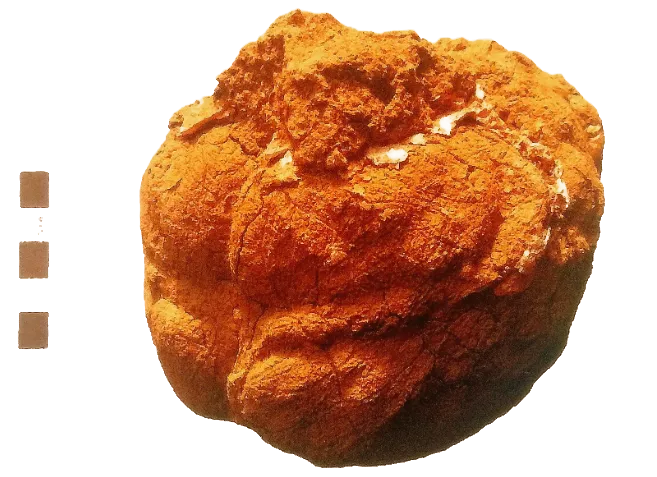 A 5th-century BC Brain from Tenos